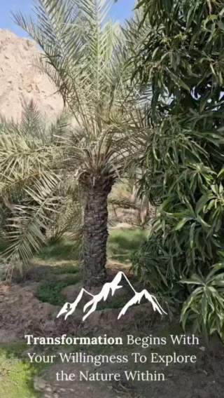 Instagram post from soulsafarileadership. This post is in position 1.